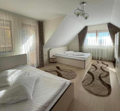 索瓦塔Pensiunea Aby的一间卧室配有两张床和两块地毯。