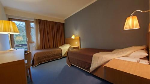 伊万尼察Hotel Park Ivanjica的酒店客房设有两张床和窗户。