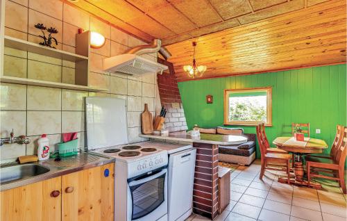 Mścice1 Bedroom Gorgeous Home In Mscice的厨房设有绿色的墙壁、炉灶和水槽。