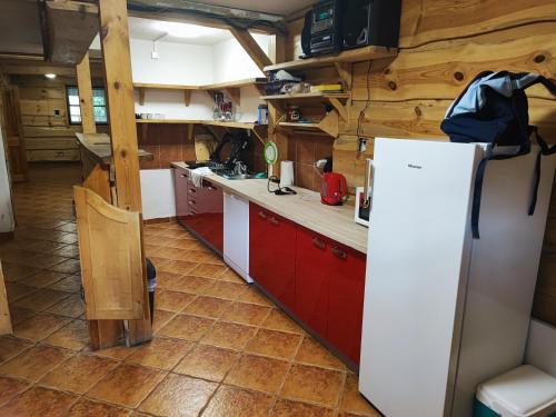 Mlynky Apartmány GUGEL MLYNKY的厨房配有红色橱柜和白色冰箱