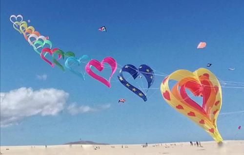 Parque HolandesPax et Bonum的一群在海滩上飞翔的风筝