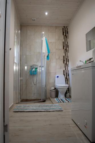 希卢泰Apartamentai Šilutėje的带淋浴和卫生间的浴室