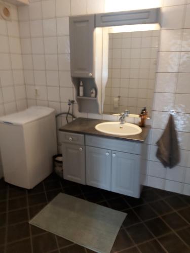 莫斯Huset i skogen的一间带水槽和卫生间的浴室