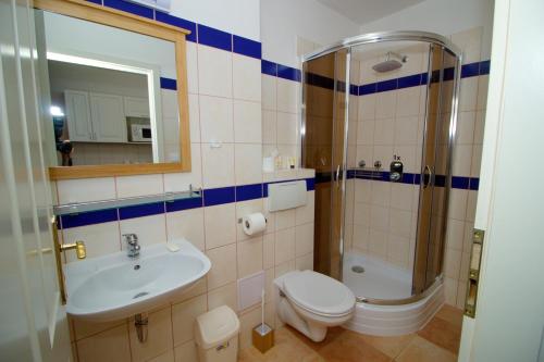 Nové HamryHAMR Apartmány的一间带水槽、卫生间和淋浴的浴室