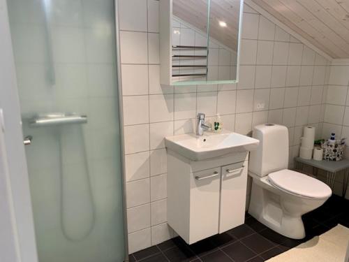 孔艾尔夫Kastellegården的浴室配有卫生间、盥洗盆和淋浴。
