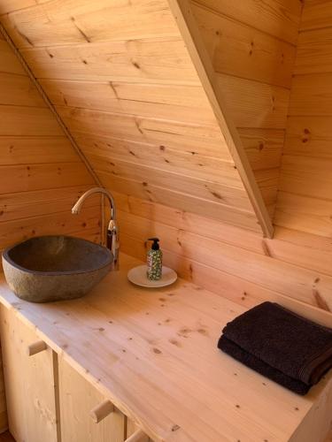 龙尚Insolite avec piscine Au Bonheur Comtois的树屋中带水槽的浴室