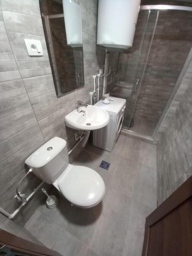 扎布利亚克Guest House RG的一间带卫生间和水槽的浴室