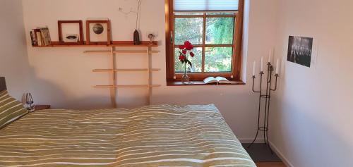弗雷门Ferienwohnung Wybo mit Garten的一间卧室设有一张床和一个窗口