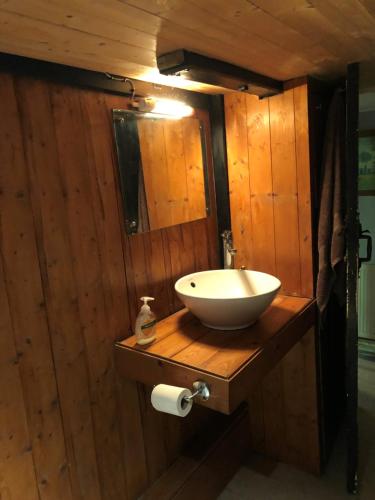 博利厄Double Room in Character Cottage With Parking, Beaulieu, New Forest的木制浴室设有水槽和镜子