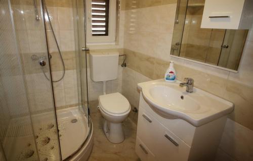 内里吉恩Apartments with a parking space Punta kriza, Cres - 18644的浴室配有卫生间、盥洗盆和淋浴。