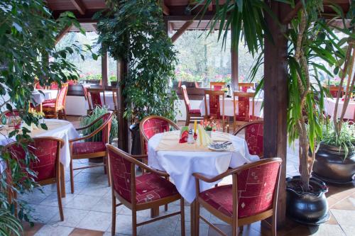 上布罗德Pension Inge的用餐室配有桌椅和植物