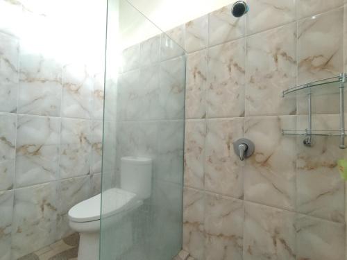 登巴萨Adi Pelita Sari Bali的一间带卫生间和玻璃淋浴间的浴室