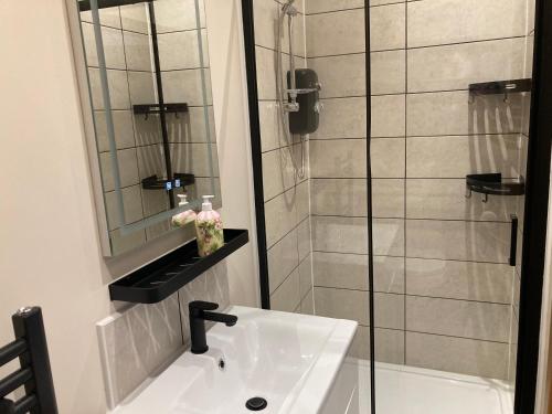 奥斯威斯1 bedroomed Detached holiday retreat Pant的浴室配有盥洗盆和带镜子的淋浴