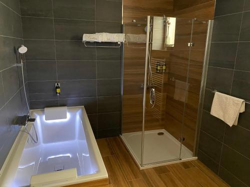 斯特日布罗优秀旅馆的带淋浴和浴缸的浴室