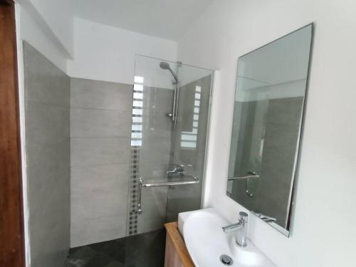 Ruisseau CréoleSurf house holidays的浴室配有盥洗盆和带镜子的淋浴