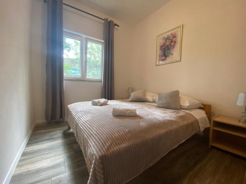 多布罗波尔贾纳Apartman Ana的一间卧室设有一张床和一个窗口