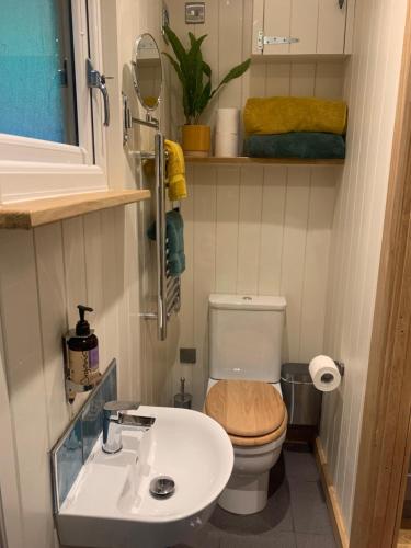 廷特恩Shepherd’s delight的一间带卫生间和水槽的小浴室