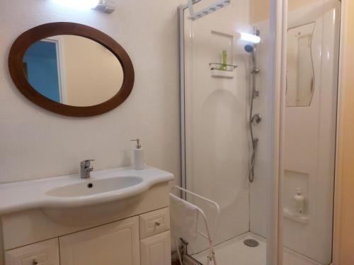 TreignacSAGE Studio à côté de la Vézère的浴室配有盥洗盆和带镜子的淋浴
