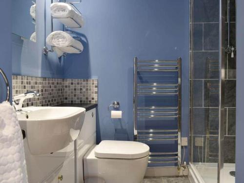 莱姆里吉斯The Old Lyme Brewhouse的浴室配有卫生间、盥洗盆和淋浴。