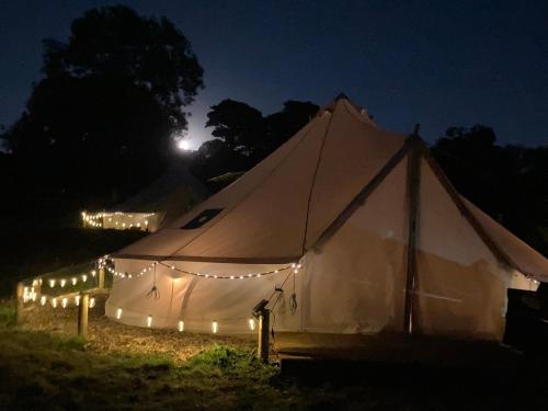 利克Roaches Retreat Eco Glampsite - Wallaby Way Bell Tent的夜晚在田野里带灯的大帐篷