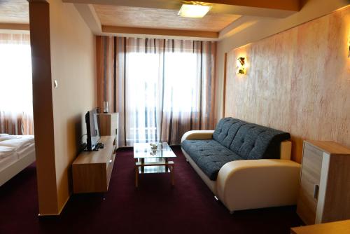 布雷兹诺杜姆别尔酒店的酒店客房设有沙发、电视和床。