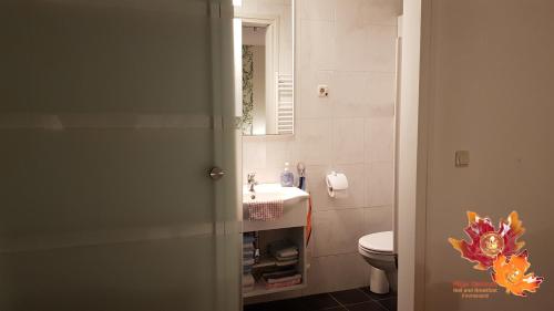 埃默洛尔德Appartement Mijn Ouders Bed en Breakfast Emmeloord的一间带水槽、卫生间和镜子的浴室