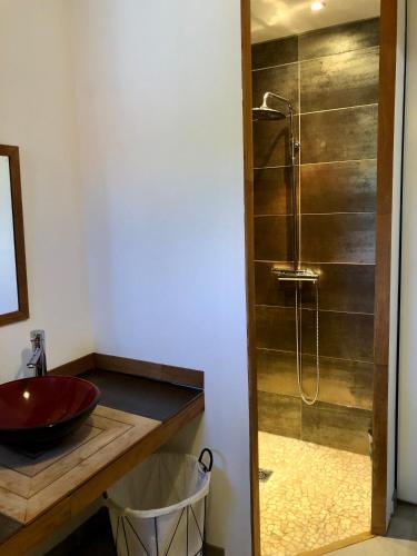 瓦朗斯旁圣马塞Studio avec extérieur ombragé的一间带红色水槽和淋浴的浴室