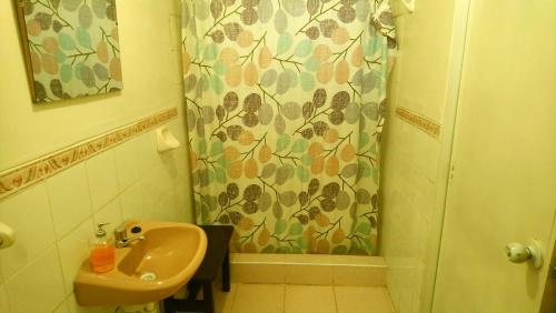 普诺La Casa del Manzano的一间带水槽和淋浴帘的浴室