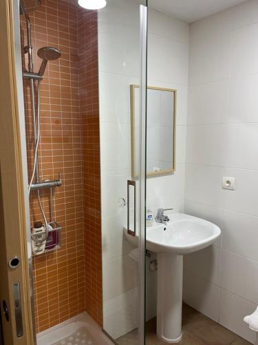 巴达霍斯Apartamento RENACIMIENTO con garaje的一间带水槽和淋浴的浴室