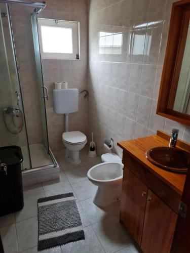 圣克鲁什达什弗洛里什Casa da Cruz的浴室配有卫生间、淋浴和盥洗盆。