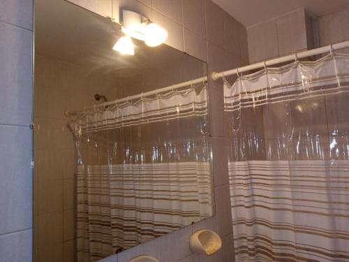 圣卡洛斯-德巴里洛切LA CASITA DE ALEX的浴室配有淋浴帘和镜子