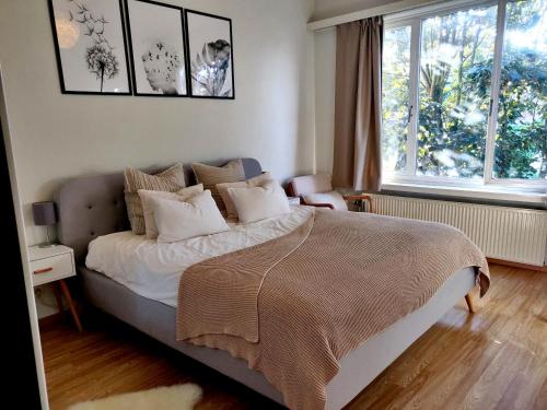 安特卫普Cosy and Fully Equipped Apartment near Antwerp的卧室配有带枕头的床铺和窗户。