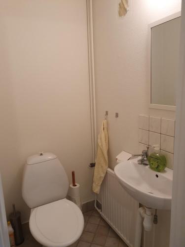 谢尔港50 m till bad i centrala Skärhamn的白色的浴室设有卫生间和水槽。