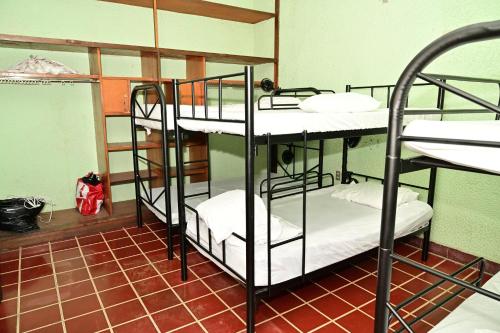 圣安娜Ricks hostel Santa Ana的客房内的一组双层床