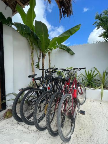 江比阿Olamanga Beach Villa的停在墙上的一排自行车