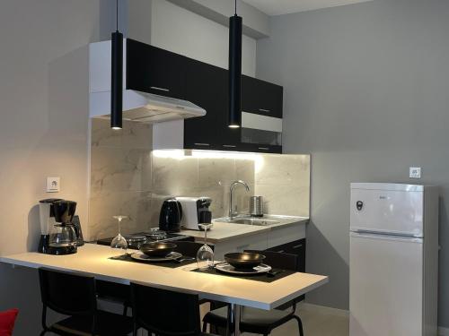 克桑西Modern Apartment 305的厨房配有黑色橱柜和白色冰箱。