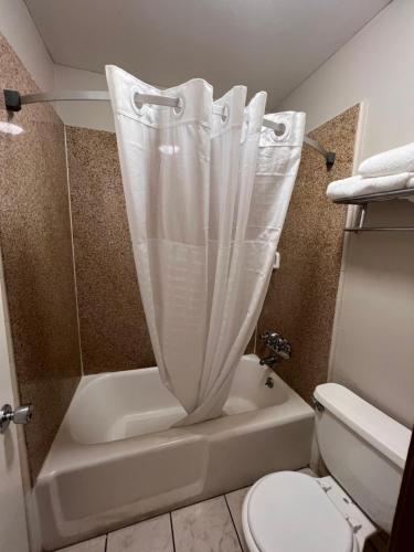代托纳海滩Days Inn by Wyndham Daytona Beach Speedway的带浴缸和卫生间及淋浴帘的浴室