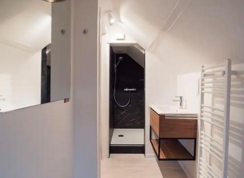绍德方丹Le Clos Margaux的带淋浴和盥洗盆的浴室