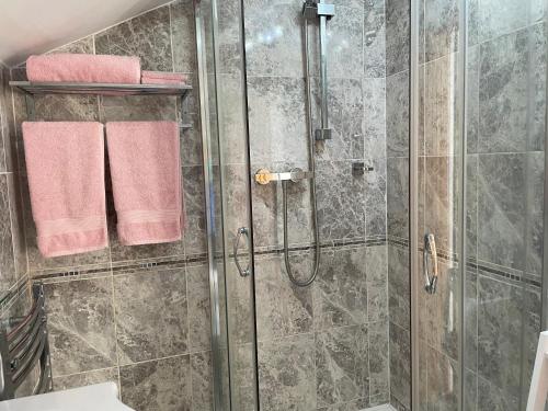 特鲁罗Meadowside Lodge with Hot Tub的浴室设有玻璃淋浴间和粉红色毛巾