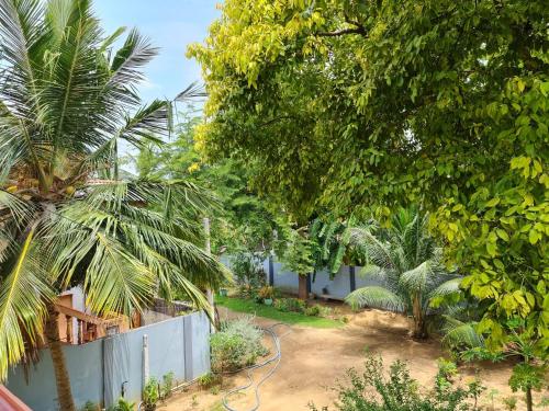 贾夫纳Nalluran illam - 2 bed room的后院,有树木,围栏和院子