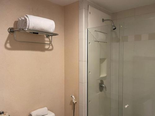 圣保罗Ibirapuera hotel 5 estrelas 2 suites的浴室配有淋浴间和卫生间。