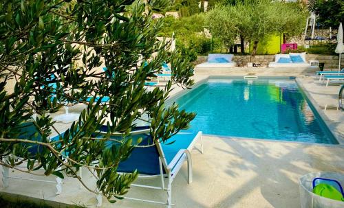 斯拉诺Apartments and rooms with a swimming pool Slano, Dubrovnik - 2179的一个带椅子和树的游泳池