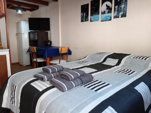 圣卡洛斯-德巴里洛切EL MONO DE LU的一间卧室配有带3个枕头的床