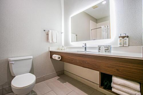 南帕诸岛南帕德里岛智选假日酒店及套房的浴室设有卫生间和带镜子的盥洗盆
