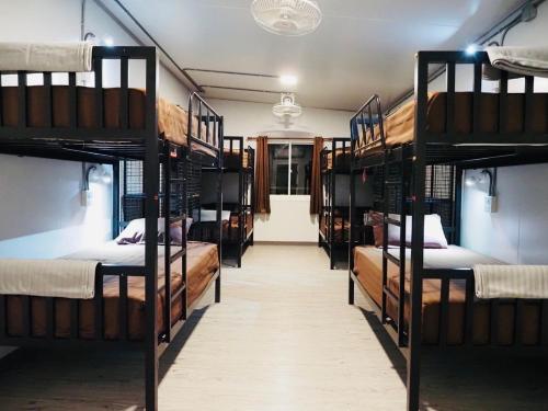 曼谷Wild Ones Hostel的宿舍间内带几张双层床的客房