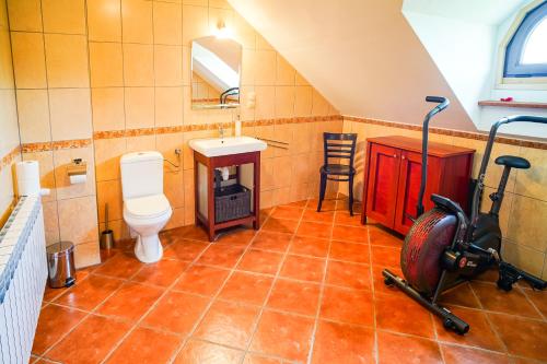 StrzebowiskaChata Jumani的阁楼浴室设有卫生间和水槽。