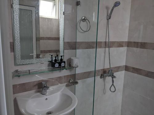 阿普春安ViLa Hà Huy Tập的一间带水槽和淋浴的浴室