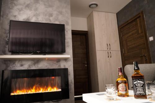 科帕奥尼克Vila Rajski kutak Kopaonik的客厅设有壁炉,上面配有电视