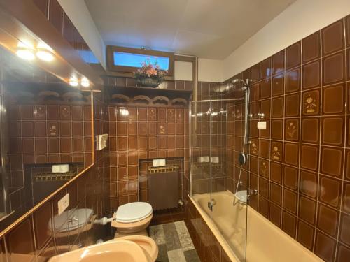 贝拉诺Suitecastlelakeview 0的浴室配有卫生间、盥洗盆和浴缸。
