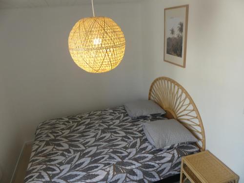 奥雷龙圣皮耶尔Superbe Maison Rénovée en Centre-ville的一间卧室配有带灯和灯的床